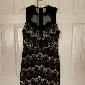Greylin Claire Lace Overlay Dress